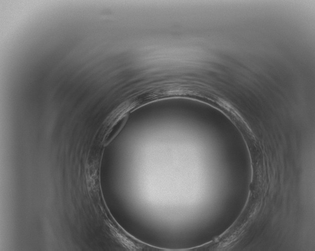 X0000060260801200511041348