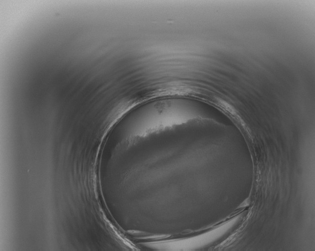 X0000060260802200511041348