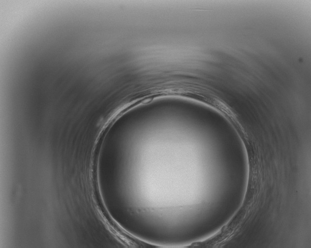 X0000060260803200511041348