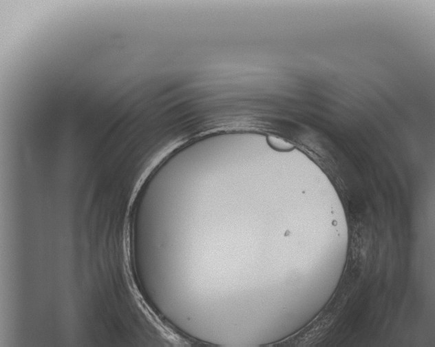 X0000060260804200511041348