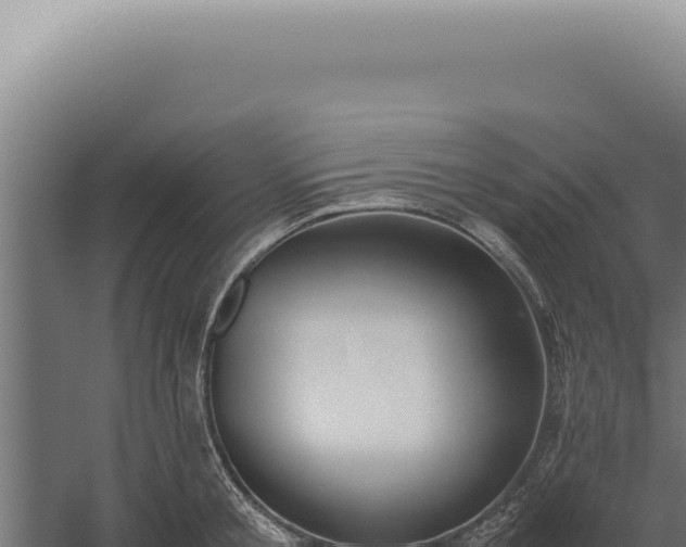 X0000060260805200511041348