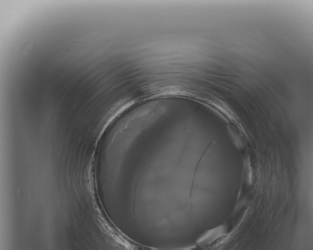 X0000060260806200511041348