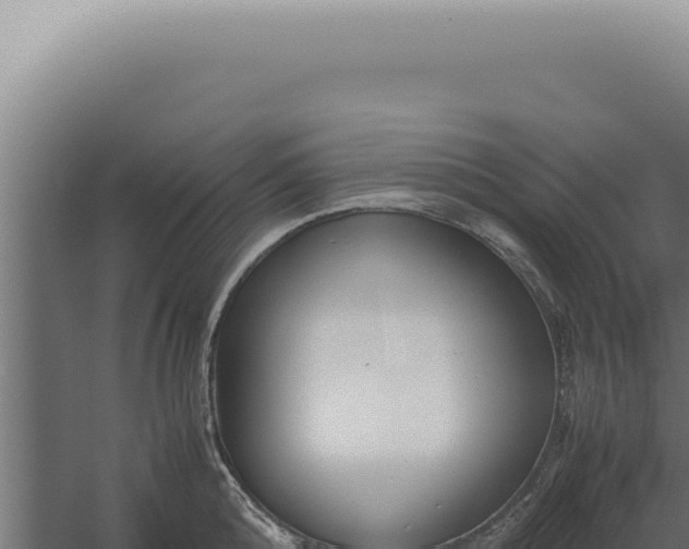 X0000060260808200511041348