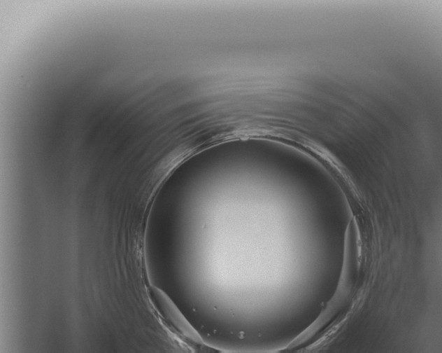 X0000060260809200511041348