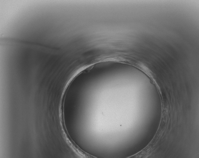 X0000060260811200511041347