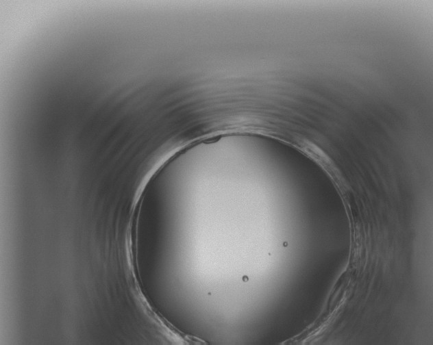 X0000060260812200511041347