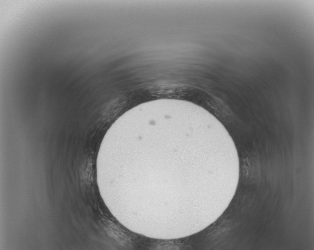 X0000060260820200511041347