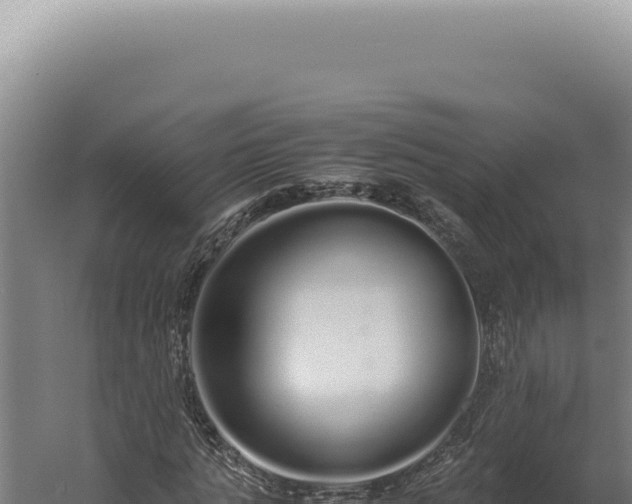 X0000060260821200511041347