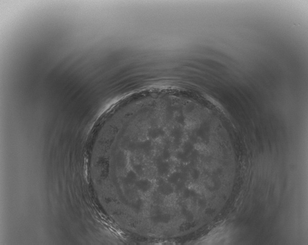 X0000060260823200511041347