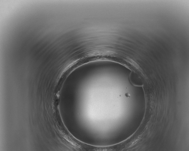 X0000060260826200511041347