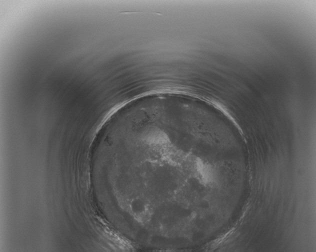 X0000060260829200511041347