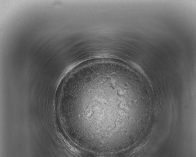 X0000060260831200511041347