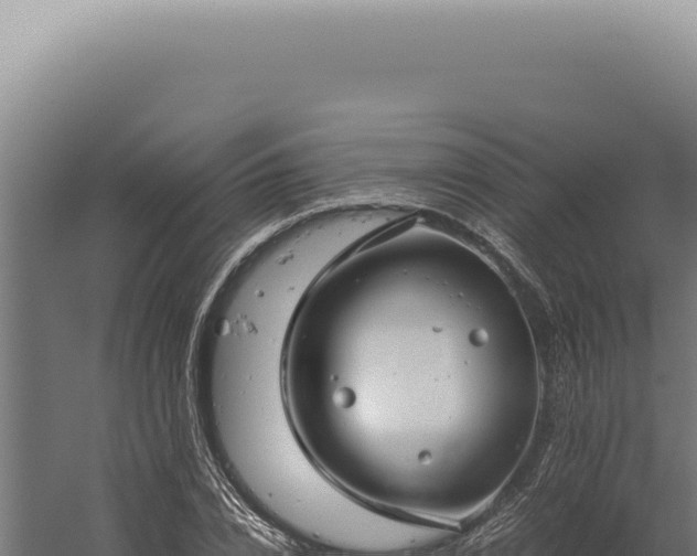 X0000060260832200511041347