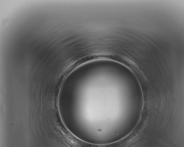 X0000060260833200511041347