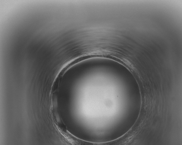 X0000060260838200511041347