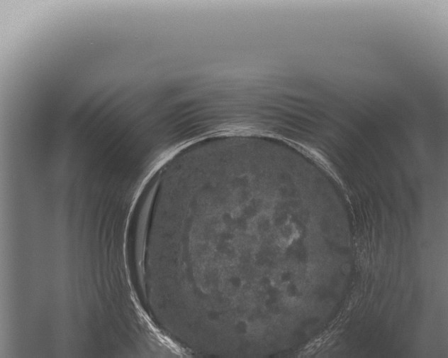 X0000060260839200511041347