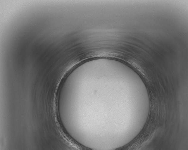 X0000060260848200511041347