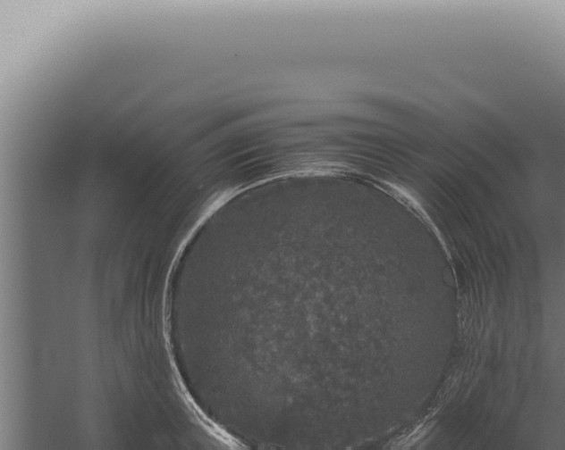 X0000060260851200511041347