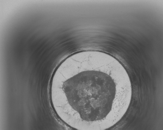 X0000060260856200511041347