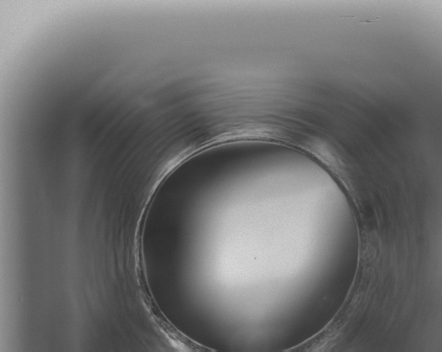 X0000060260858200511041347