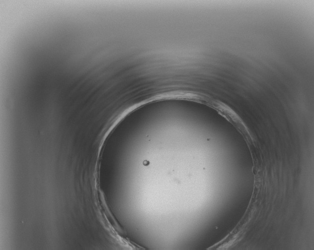 X0000060260860200511041347