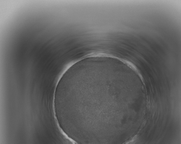 X0000060260863200511041347