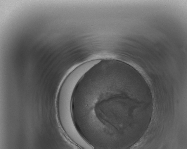 X0000060260864200511041347