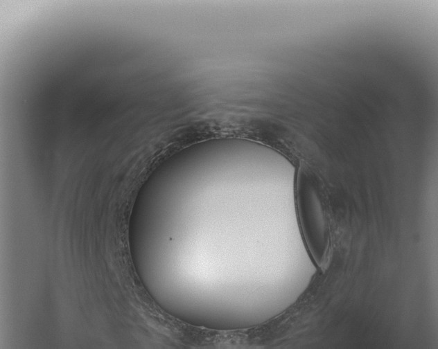 X0000060260865200511041347