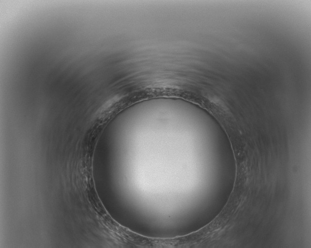 X0000060260870200511041346