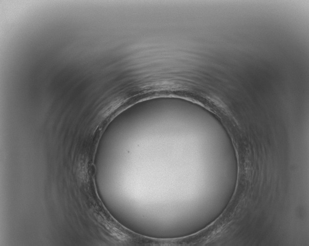 X0000060260873200511041346