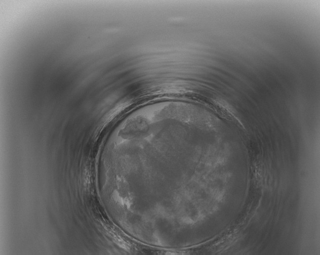 X0000060260874200511041346