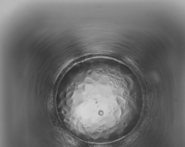 X0000060260875200511041346