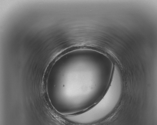 X0000060260876200511041346