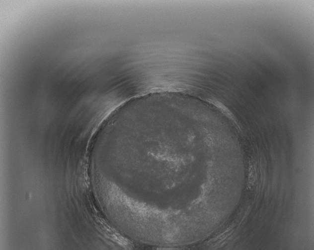 X0000060260878200511041346