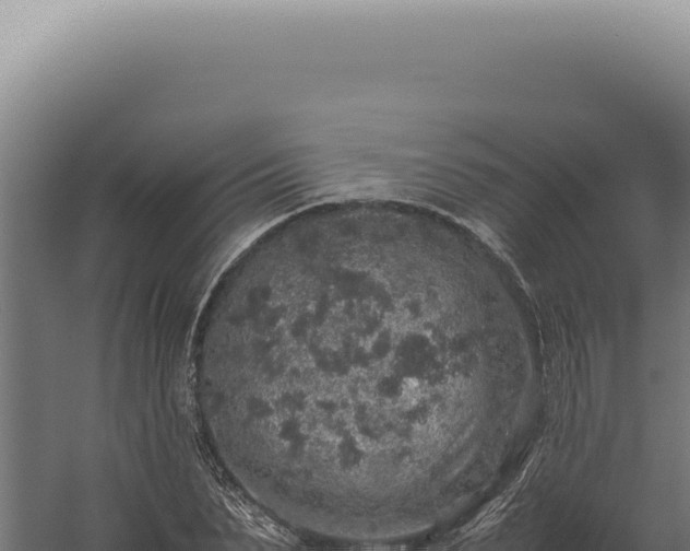 X0000060260879200511041346