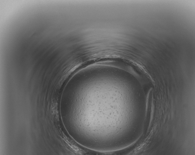 X0000060260881200511041346