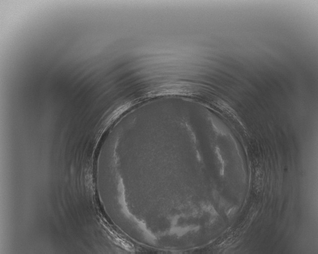 X0000060260882200511041346