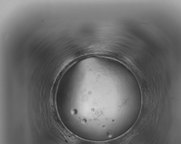 X0000060260883200511041346