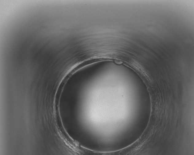 X0000060260884200511041346