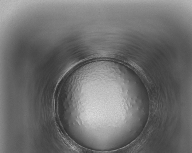 X0000060260886200511041346