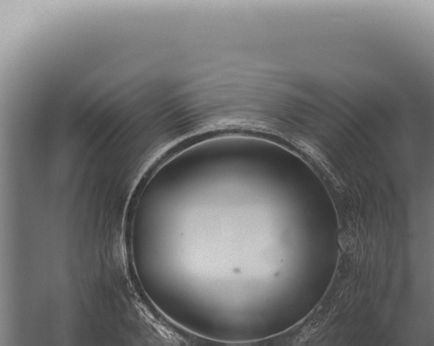 X0000060260888200511041346