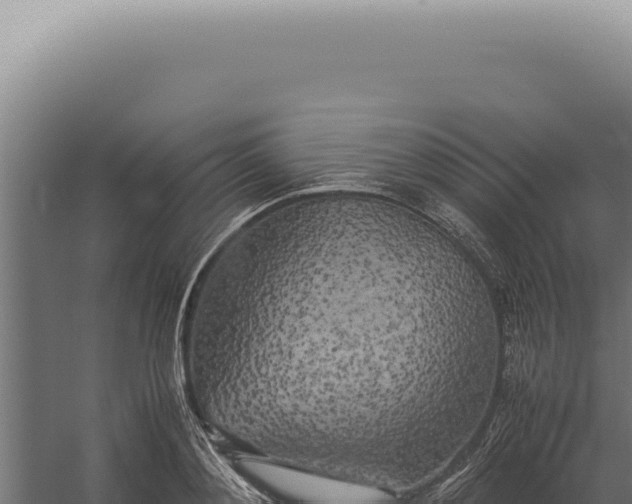 X0000060260892200511041346