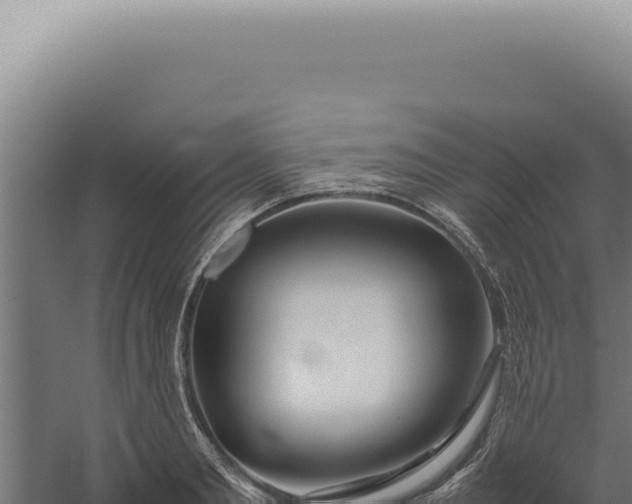 X0000060260893200511041346