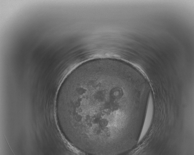 X0000060260895200511041346