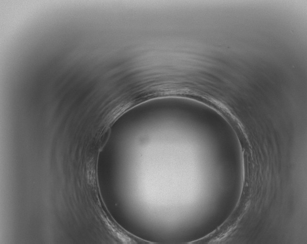 X0000060260897200511041346