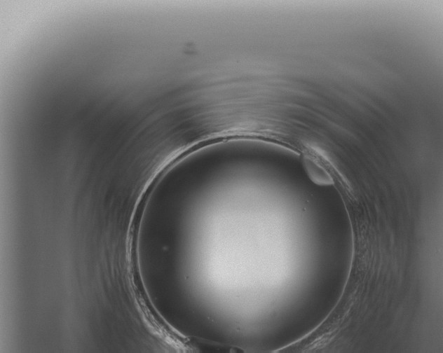 X0000060260900200511041346