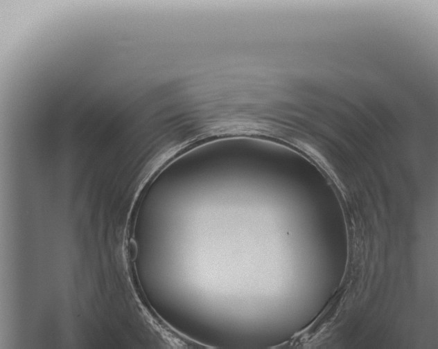 X0000060260901200511041346