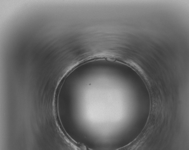 X0000060260902200511041346