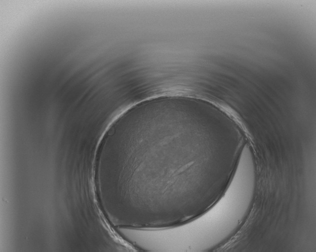 X0000060260904200511041346