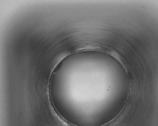 X0000060260906200511041346